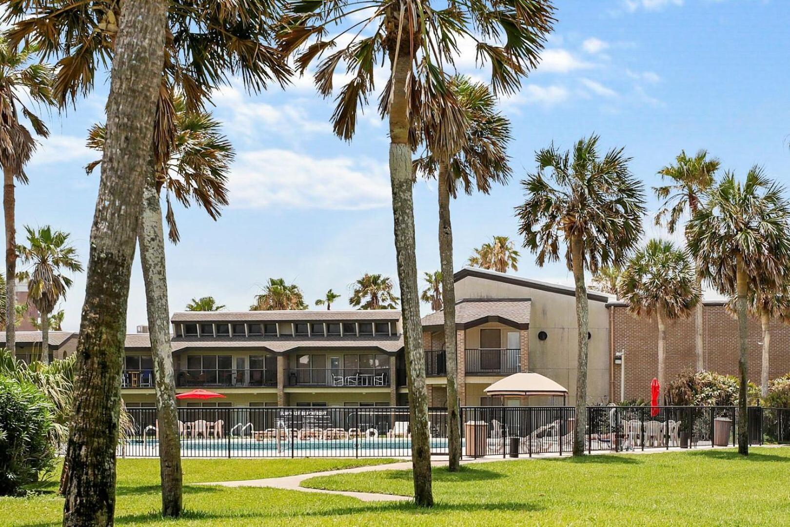 Ground Floor Beachfront Beauty! Steps To The Beach And Pool South Padre Island Habitación foto